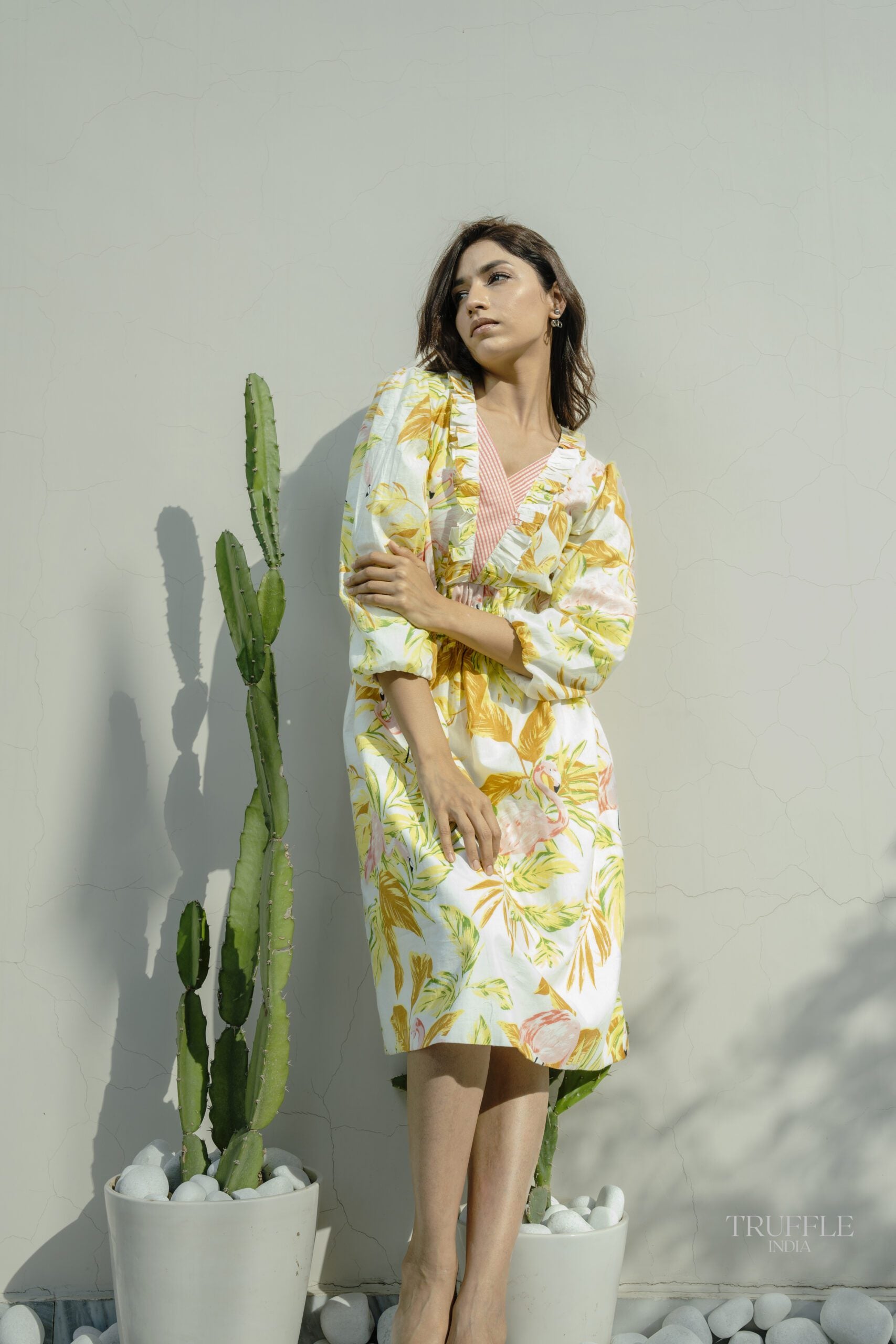 FLAMINCO DRESS